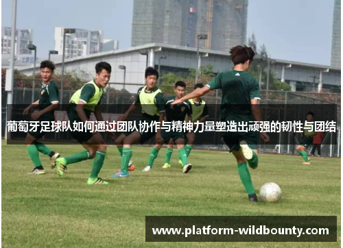 葡萄牙足球队如何通过团队协作与精神力量塑造出顽强的韧性与团结 葡萄牙足球队如何通过团队协作与精神力量塑造出顽强的韧性与团结