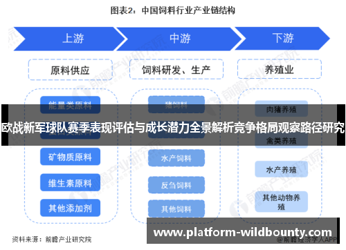 欧战新军球队赛季表现评估与成长潜力全景解析竞争格局观察路径研究 欧战新军球队赛季表现评估与成长潜力全景解析竞争格局观察路径研究