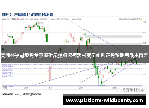 美洲杯争冠形势全景解析豪强对决与黑马变量研判走势预测与战术博弈 美洲杯争冠形势全景解析豪强对决与黑马变量研判走势预测与战术博弈