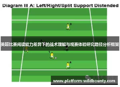 英超比赛阅读能力差异下的战术理解与观赛体验研究路径分析框架