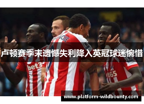 卢顿赛季末遗憾失利降入英冠球迷惋惜 卢顿赛季末遗憾失利降入英冠球迷惋惜