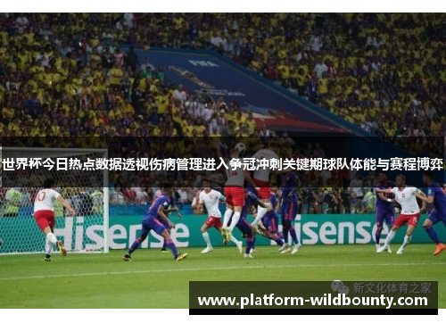世界杯今日热点数据透视伤病管理进入争冠冲刺关键期球队体能与赛程博弈
