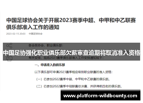 中国足协强化职业俱乐部欠薪审查逾期将取消准入资格 中国足协强化职业俱乐部欠薪审查逾期将取消准入资格