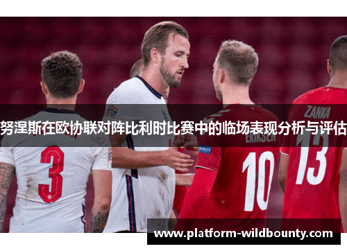 努涅斯在欧协联对阵比利时比赛中的临场表现分析与评估