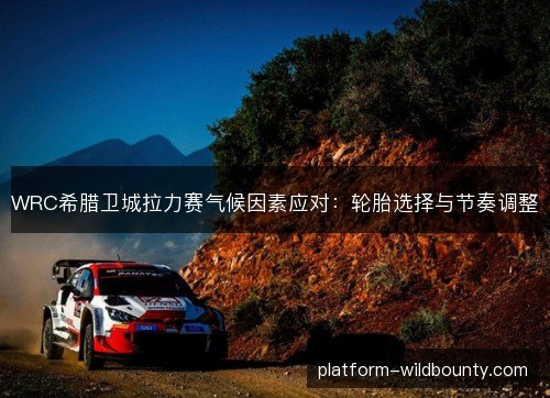 WRC希腊卫城拉力赛气候因素应对：轮胎选择与节奏调整