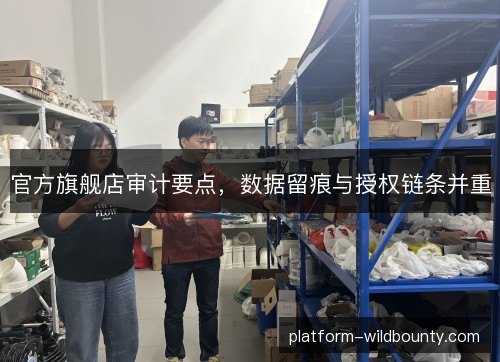 官方旗舰店审计要点,数据留痕与授权链条并重 官方旗舰店审计要点,数据留痕与授权链条并重